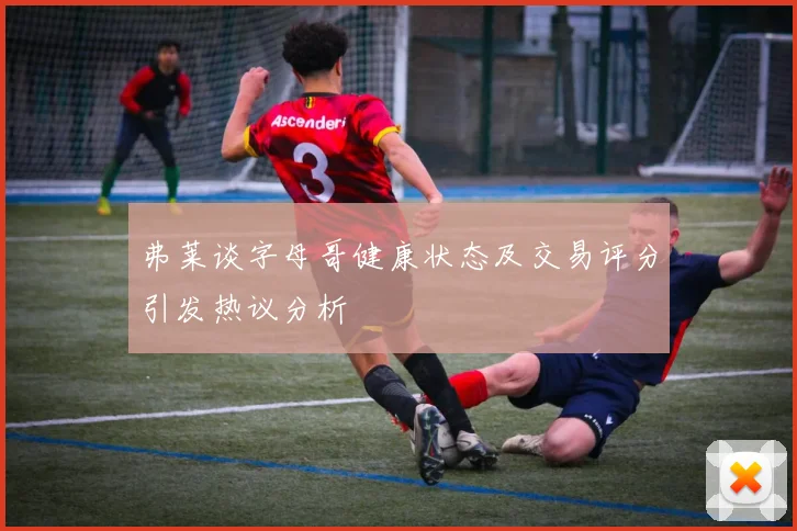 弗莱谈字母哥健康状态及交易评分引发热议分析