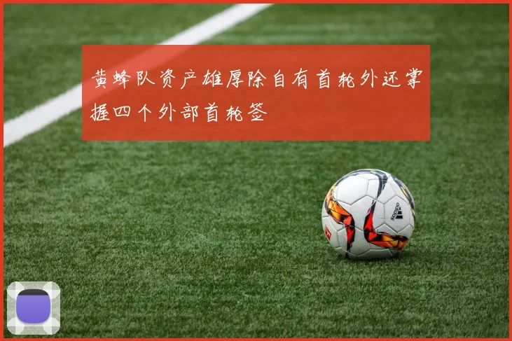 黄蜂队资产雄厚除自有首轮外还掌握四个外部首轮签